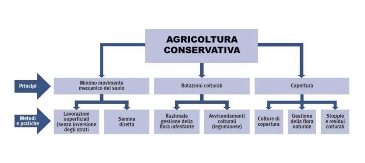 L'agricoltura conservativa si fonda su tre principi a cura della salute del suolo
